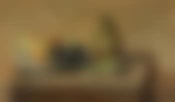 Still life (preview)