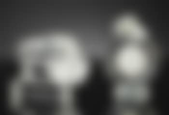 Pierrot; Bison (preview)