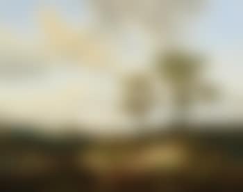 Gelders landscape (preview)