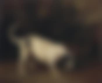 Portrait of a Hound in a Landscape (preview)