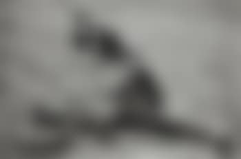 Marseilles (preview)