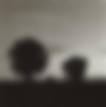 Summer Nights- 3 (preview)