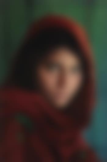 Sharbat Gula, Afghan Girl, Pakistan (preview)