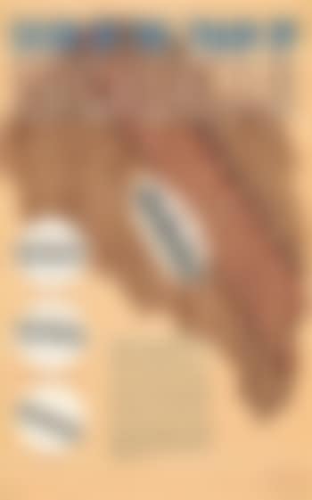 Escalator (preview)