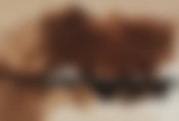 No. 109 (preview)