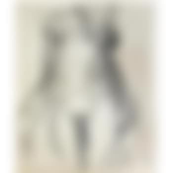 The shawl (preview)