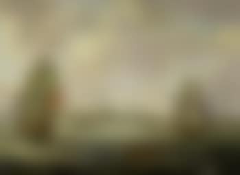 Marine (preview)