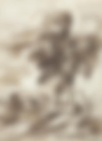 A mountainous landscape with two intertwining trees in the foreground (preview)