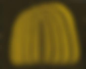 Pumpkin (preview)