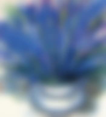 Purple Flowers In A Vase (preview)