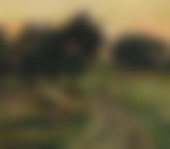 Ohne Titel (Weg im Brelinger Berg) (preview)