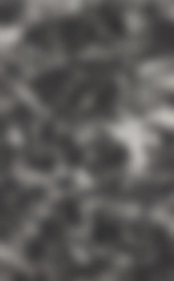 Picture Made by my Hand with the Assistance of Light (preview)