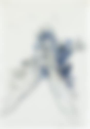 Adler (preview)