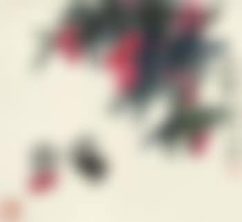 Chicks And Lychee (preview)