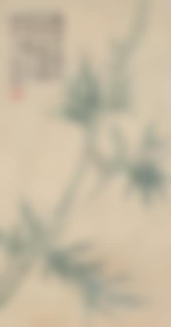 Bamboo (preview)