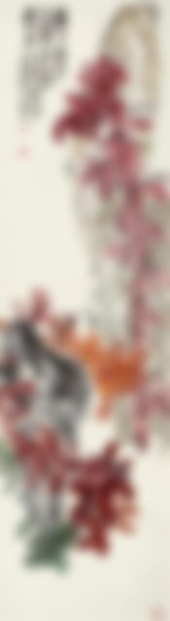 Amaranthus Tricolor (preview)