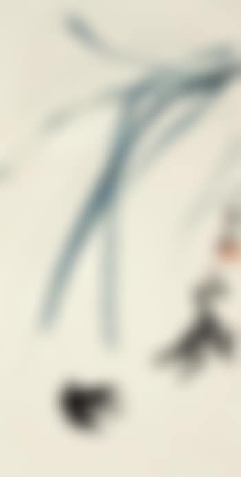 Frog (preview)