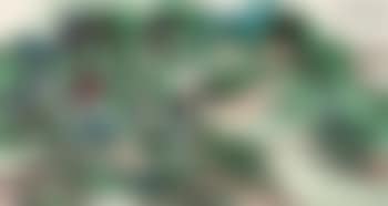 Landscape (preview)