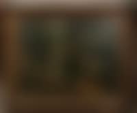 Forest landscape (preview)