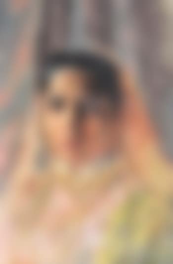An Indian beauty (preview)