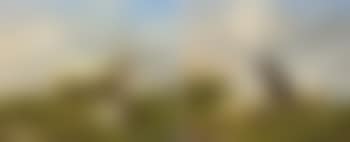 Schaap met jongen - Schapen met geit (preview)