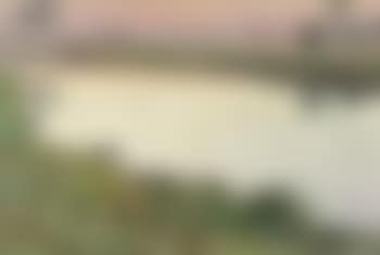 Leieoever (preview)
