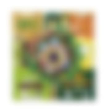 Aubergine III (Green) (preview)