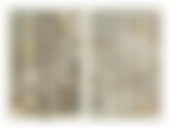 White butterflies: sixty-two butterflies, in five columns, representing five families (preview)