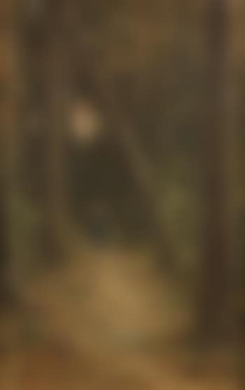 A Walk in the Woods (preview)