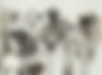 Sans titre (preview)