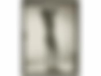 Meret Oppenheim con ropa transparente (preview)