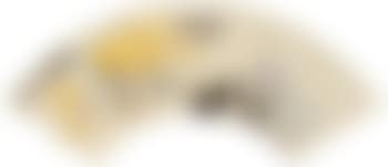 Loquat Fruit (preview)