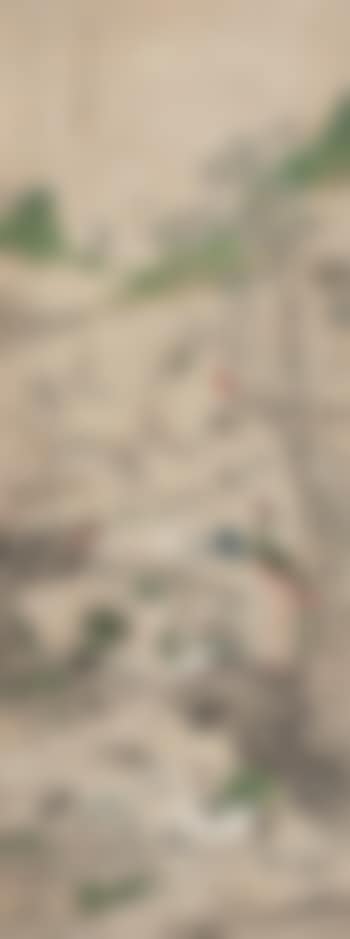 Birds And Flowers (preview)