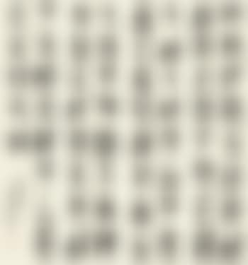 Calligraphy (preview)