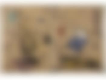 Diary I (preview)
