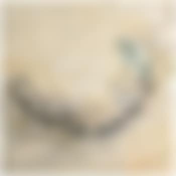 Tallades (preview)