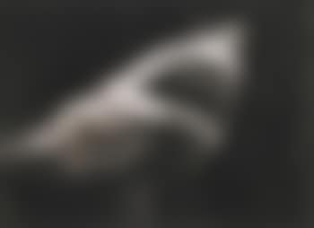 Study For Shark (preview)
