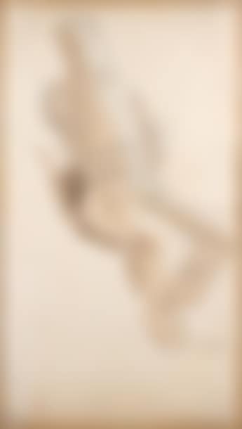 Portrait de chef Mongol (preview)
