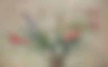 Bouquet de fleurs (preview)
