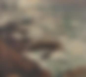 Coastal waves and rocks (preview)