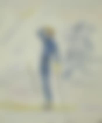 Skier (preview)