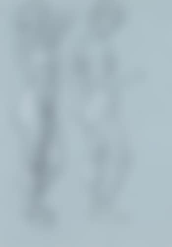 Sketch of a female nude (2 postures) (preview)