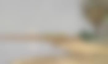 Running with the wind (preview)
