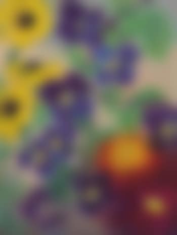 Blumen (preview)