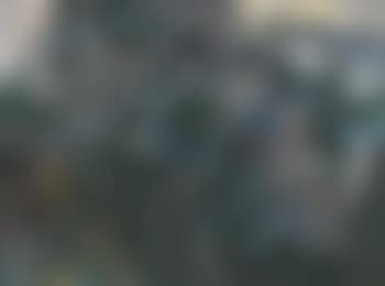 Lifting fog (preview)