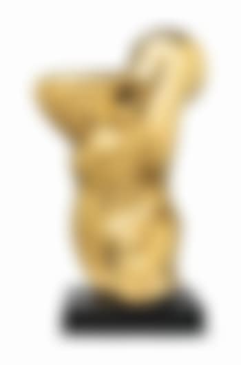 Torse, Profil (preview)