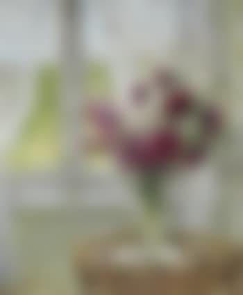 Vase de fleurs, devant une fenêtre (preview)