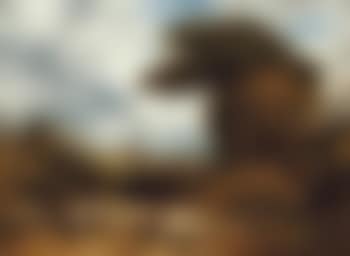 The purchased flock (preview)
