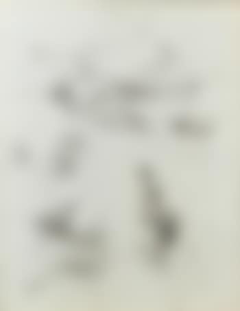 Sans Titre (preview)