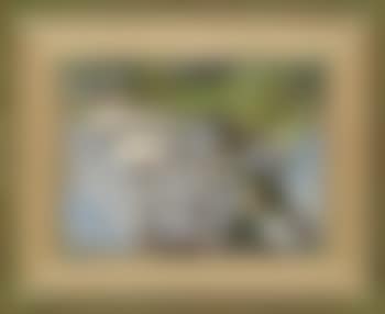 Evening by the river (preview)